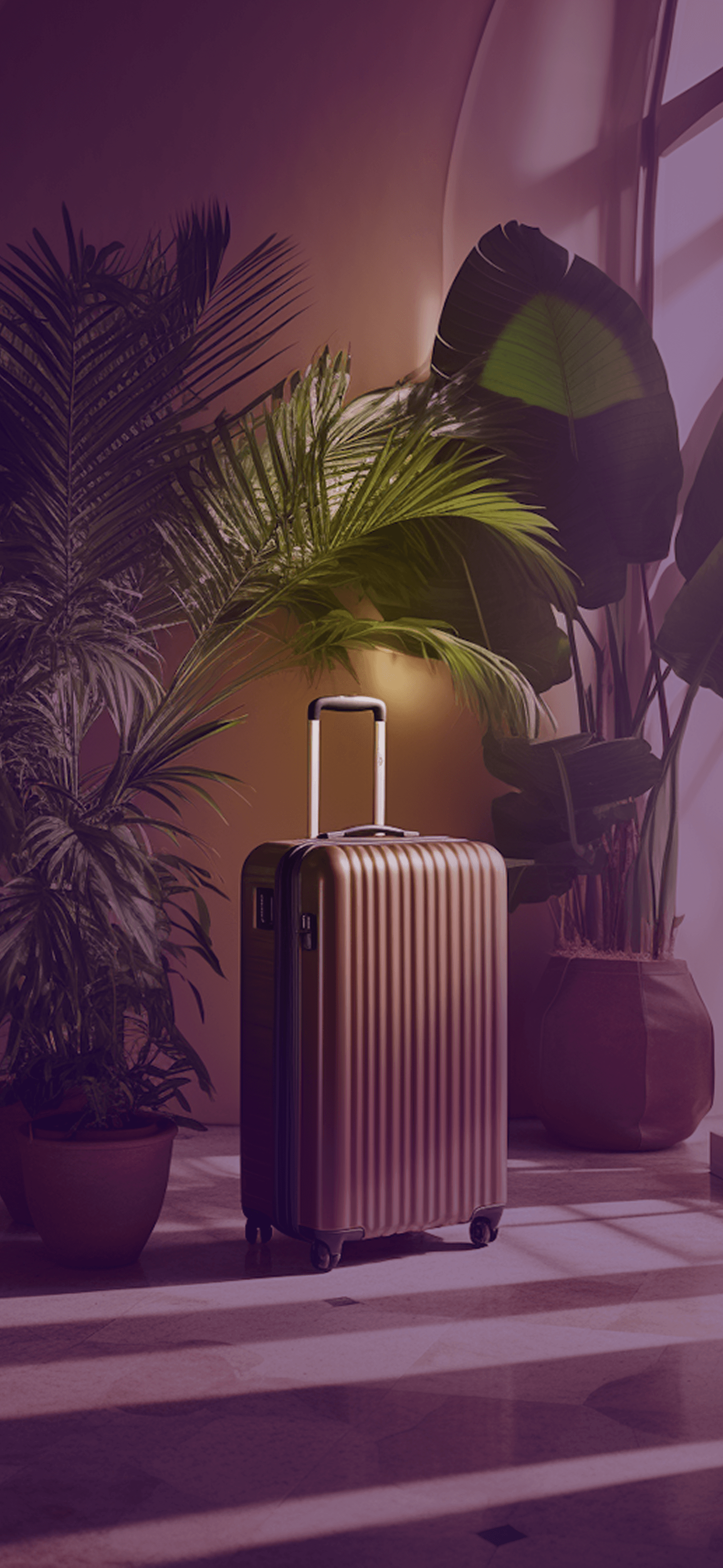 Premium luggage representing safe, reliable travel